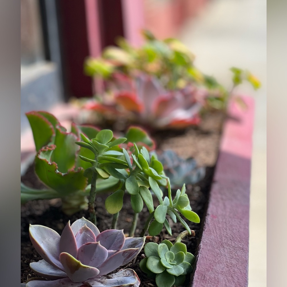 Meet your Posher, Graciela